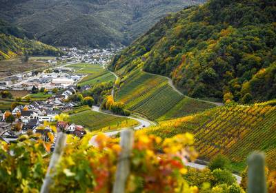 Indian Summer oberhalb von Dernau im Herbst 2022